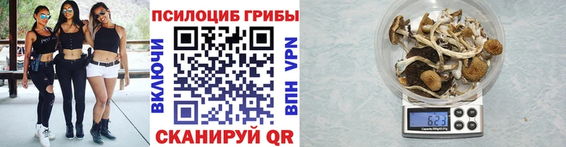 Купить  Отрадное  Галлюциногенные грибы Magic Shrooms 