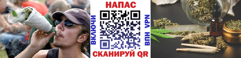 Купить где  Отрадное  Каннабис ГИДРОПОН 